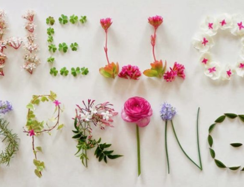 What will this spring bring?
